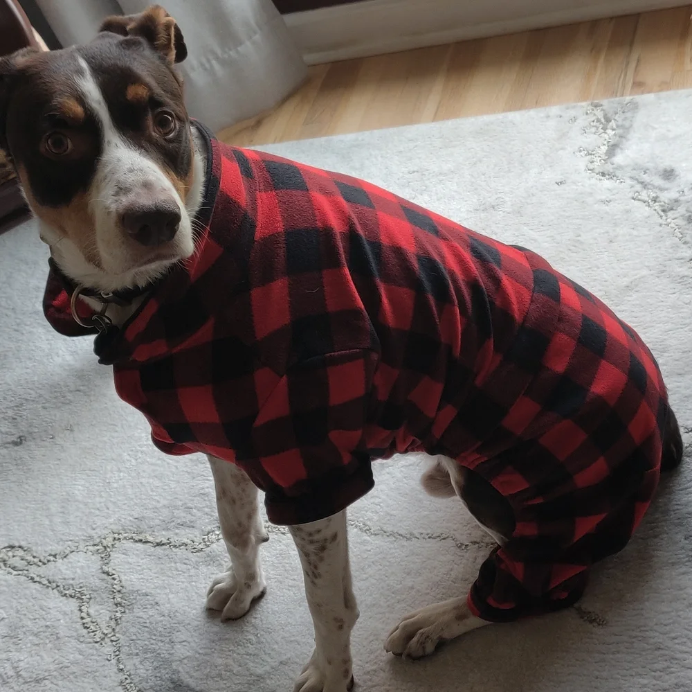 Dog Jammies.